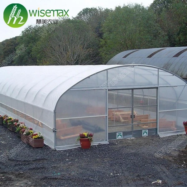 High quality plastic film tomato growing greenhouse hydroponics