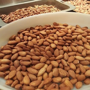 high quality raw almonds for sale