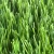 Import High Quality Synthetic Artificial Grass Turf Football / Artificial Football Lawn from China
