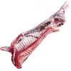 Highest quality meat beef -  Fresh from Ukraine - certificate HALAL - beef meat frozen