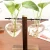 Import Home artificial desktop decoration tube/Heart-shaped Glass planter Glass vase with metal stand/wood stand base from China