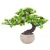 Home Office Decoration Artificial Pine Tree Bonsai High Simulation Cypress Bonsai