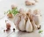 Import Hot Sale Chinese Solo Fresh Normal White Garlic from China