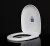 Import Hot sale economic toilet seat cover wc plastic toilet seat very cheap cover from China