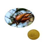 Hot Sales Fructus Rosae Laevigatae Powder Natural Cherokee Rose Seeds Extract