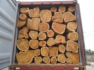 HOT SALES  teak wood log and sawn timber for exports..
