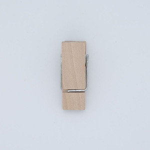 Hot Selling Fashion Design Eco-friendly wood mini clothes pin