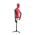 Import Hot selling fiberglass half body female mannequin from China