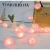 Import hotsale battery powered led lights led string lights rose flower wedding lighting decoration from China