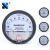 Import HUANHONG Micro low differential pressure gauge from China