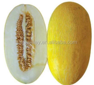 Hybrid F1 Chinese Yellow Hami Melon Cantaloupe Japanese melon seeds for growing-HM009