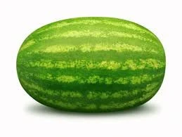 Indian Green Water Melon