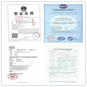 ISO Certificate Factory Supply 100% Pure Hydrolyzed Collagen &amp; Hydrolyzed Fish Collagen Powder