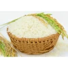 Jasmine Rice Sortexed Long Grain White Wholesale