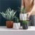 Import Joyliving Wholesale Plants Pots Succulent Concrete Flower Pots Nordic Cement Flower Pots Planter from China
