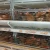 Import Layer chicken farm poultry battery cages from China