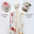 Import Life Size Flexible Spine Muscle Insertions and Origins and Flexible Ligaments Human Anatomical Skeleton Medical Model from China