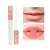 Import Lip Gloss Private Label Liquid Lipstick With Different Color,Beauty Lipstick Lip Plumper Gloss from China