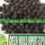 Import LOTUS SEED WITH BLACK SHELL- TOP CHEAP PRICE WITH NEW CROP from Vietnam