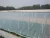 Import Low cost hydroponic growing Tunnel Plastic multi span Film Polyhouse Green house from China