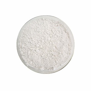 Manufacturer high quality Royal Jelly powder with best price