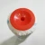 Import Master D21016 4&#39;&#39;, 6&#39;&#39;, 7&#39;&#39;, 9&#39;&#39;, 10&#39;&#39; indoor outdoor paint roller cover manufacturer from China