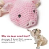 Mewajump Interactive Dog toys Custom Soft Durable Pet Dog Squeaky Plush Dog Toy