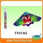 modern rainbow butterfly kite