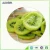 Import Most popular products new crop Dried Kiwi from China
