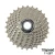 Import MTB Bike Mountain Bicycle Freewheel 10 Speed 11-50T Cassette Bicycle Flywheel Other Bicycle Parts from China