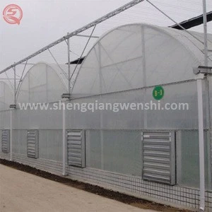 Multi span plastic galvanized steel frame nft hydroponic for greenhouse tomato seed
