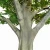 Import Multiple roots artificial Banyan / ficus tree for home offices businesses decoration from China
