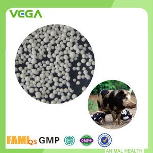 Natural Digestive Veterinary Medicine China Wholesale Florfenicol Powder 5%/10%
