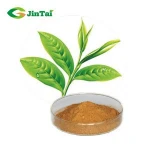 Natural green tea l-theanine extract powder epicatechin 98% tea polyphenol
