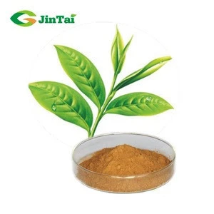 Natural green tea l-theanine extract powder epicatechin 98% tea polyphenol
