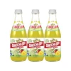 Natural Low Cal Beverage with Monk Fruit Low Calorie Mango