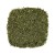 Import 100% Natural Organic Herbs Dried Thyme Dried Rubbed Ground Thyme Leaves Herb  Egyptian Thyme On Selling from Egypt