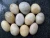 Import Natural Pebbles/Polished Pebbles for Water Treatment DecorationNatural Pebbles/Polished Pebbles for Water Treatment Decoration from China