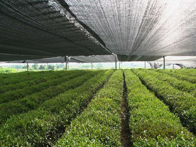 NEW black green sun shadow fabric agricultural shade net