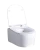 Import New design one piece wall hung toilet without cistern ceramic toilet 201S from China