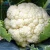 Import New harvested Chinese fresh cauliflower / frozen cauliflower from China