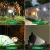 Import New Style Adjustable Road Path Outdoor Waterproof Led Solar Garden Wall Light from China