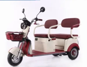 New Style Electric Bike for Picking up Children Passengers and Cargo