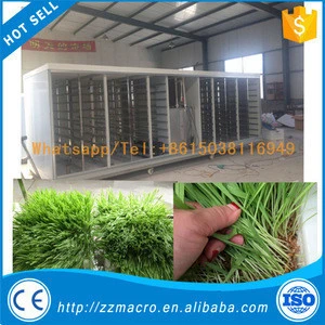 Newly Invention Seedling Sprout Machine, Seeds Sprouting Machine, Automatic Mung Beans Sprout Machine