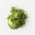 Import OEM Available Instant Matcha Green Tea Powder for Export from China
