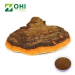 Organic Anti-cancer Chaga Mushroom Extract