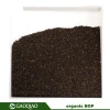 Organic Black Tea BOP-EU Standard-Chinese Tea