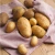 Import Organic Fresh potato export price is vary competitive from United Kingdom