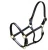Import Original Adjustable Horse Leather Halter India sales from India