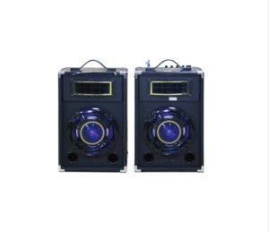 Outdoor 2.0 professional Speaker With disco Light DX-025